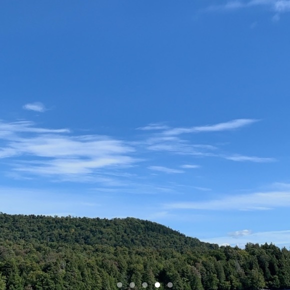 Meet your Posher, Jessica - Picture 1 of 1